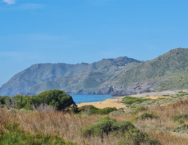 paisaje