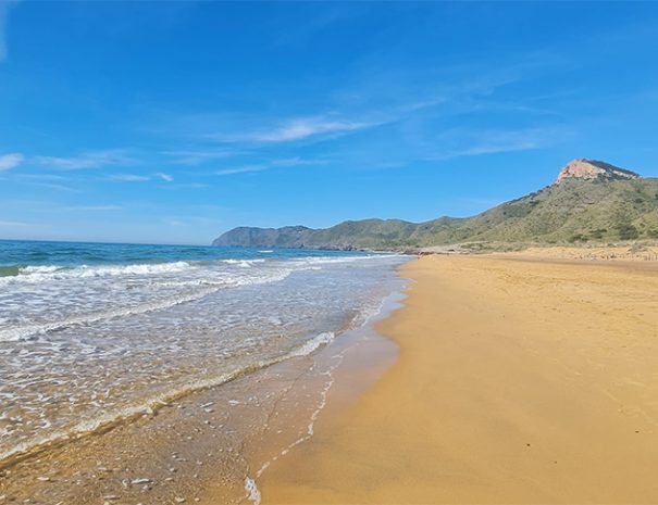 playa calblanque