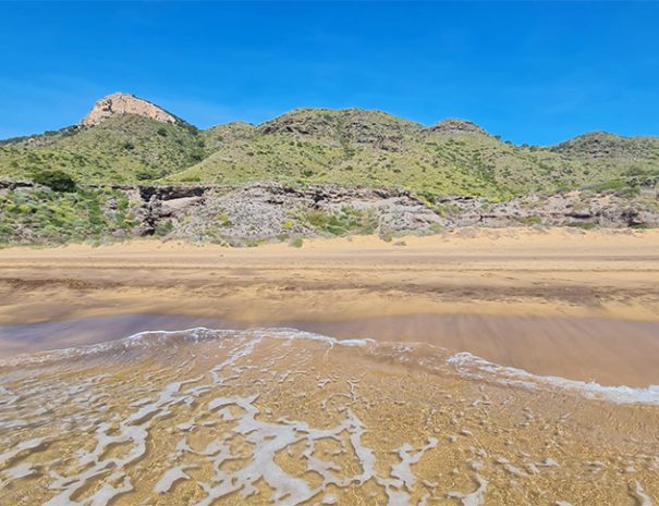 playa y monte