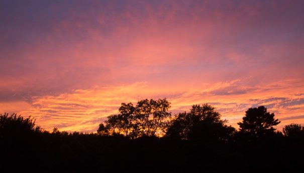 atardecer