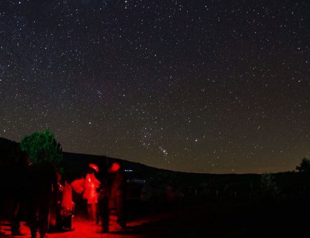 Observación en la Sierra de la Culebra (Zamora)